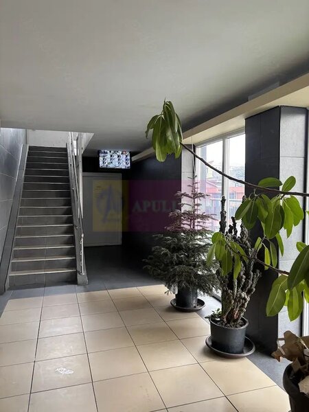 Garsoniera renovata de vanzare   Vitan, zona Stadion Olimpia